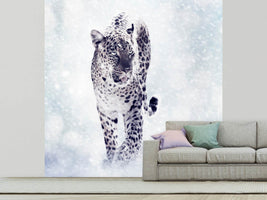 photo-wallpaper-photo-wallaper-the-leopard