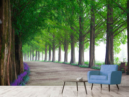 photo-wallpaper-beautiful-tree-avenue