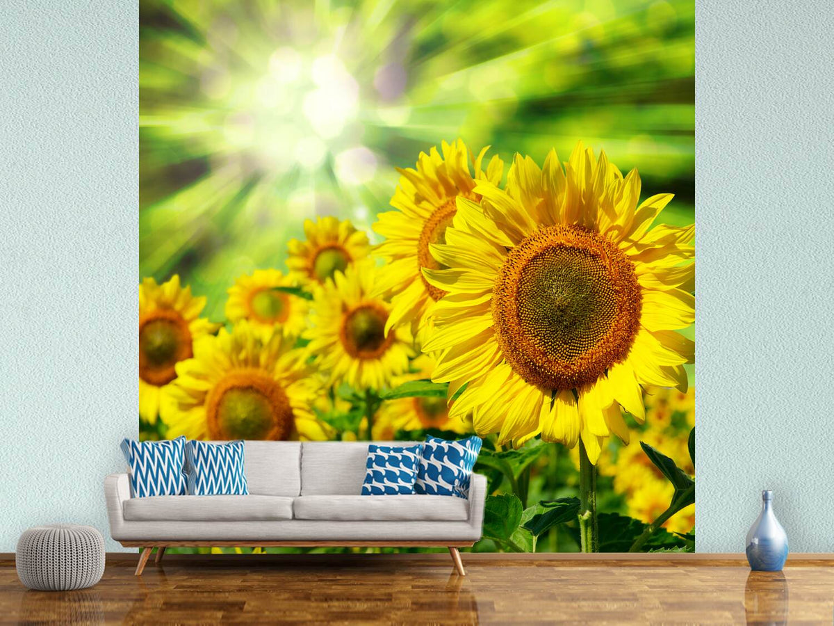 photo-wallpaper-the-sun-and-the-flowers