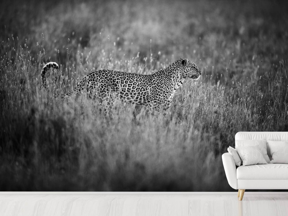 photo-wallpaper-leopard-s-mood-x