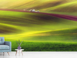 photo-wallpaper-golden-fields-x