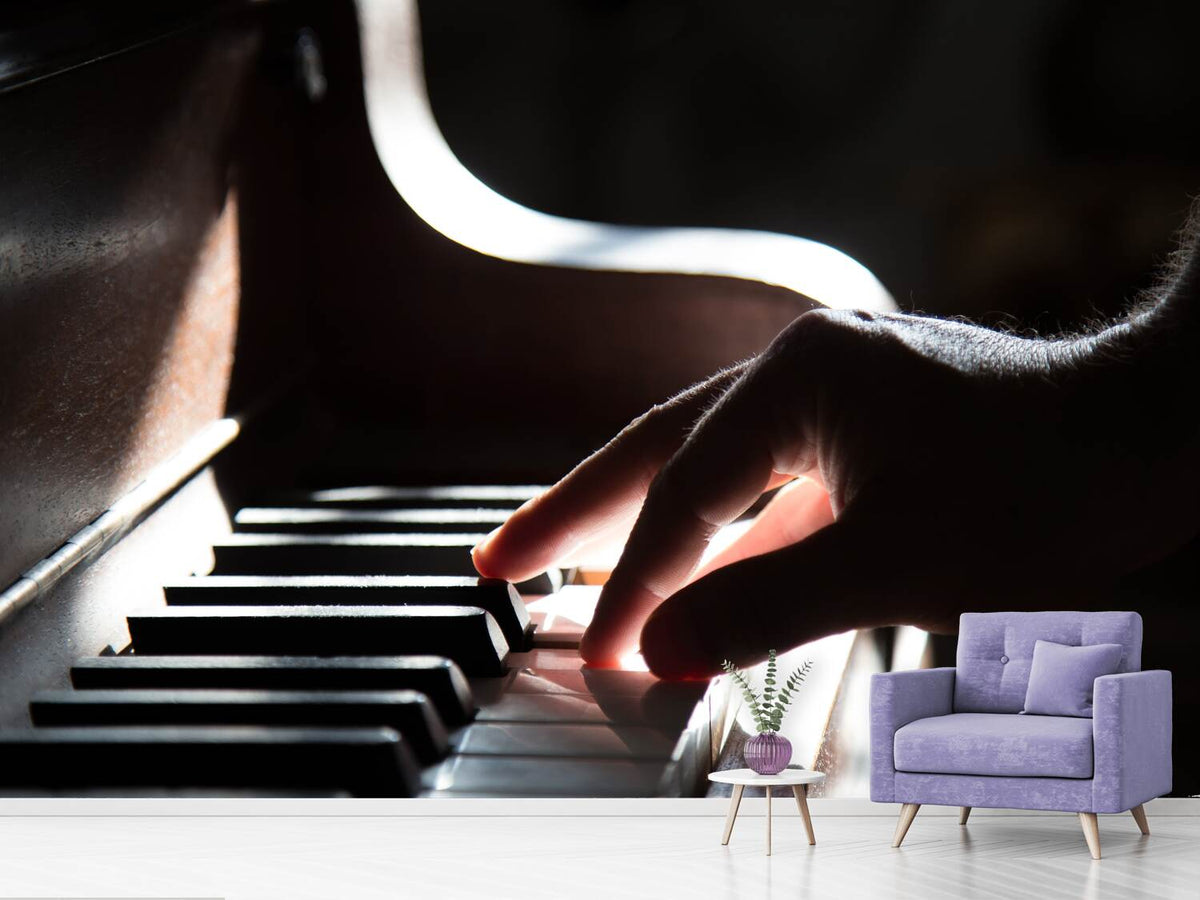 photo-wallpaper-piano-player