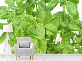 photo-wallpaper-basil-in-xxl