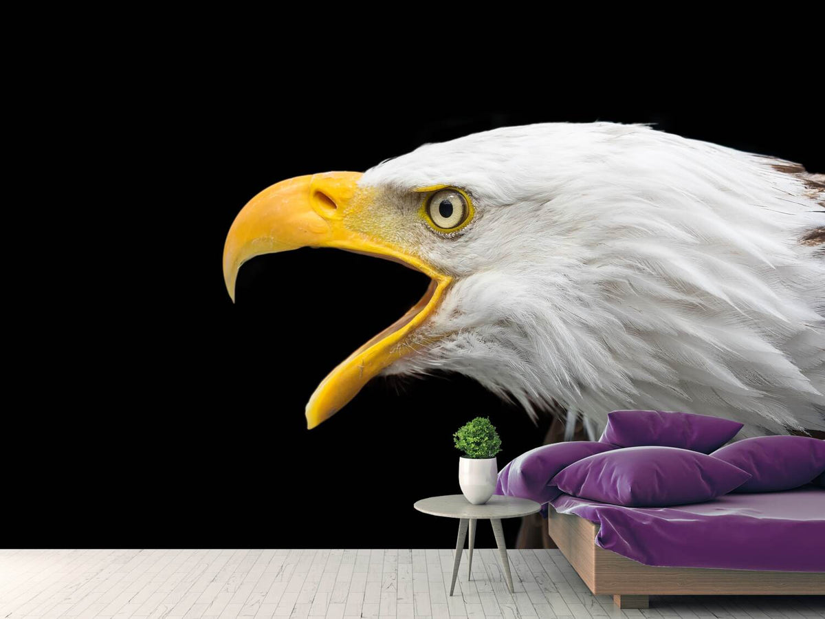 photo-wallpaper-the-bald-eagle