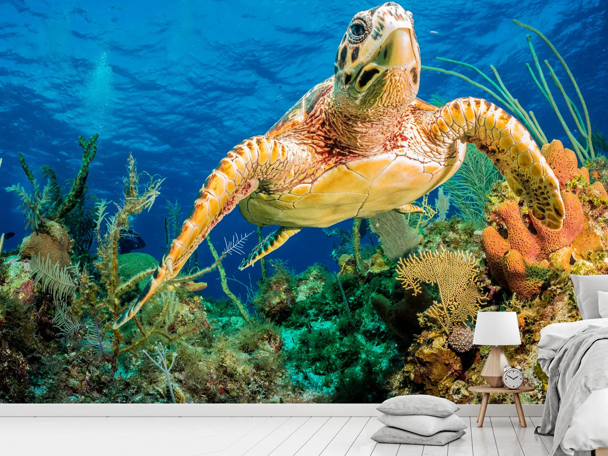 photo-wallpaper-turtle-in-the-reef