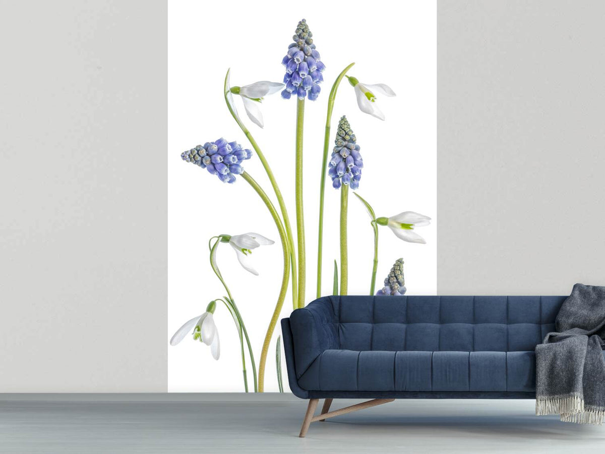 photo-wallpaper-muscari-and-galanthus