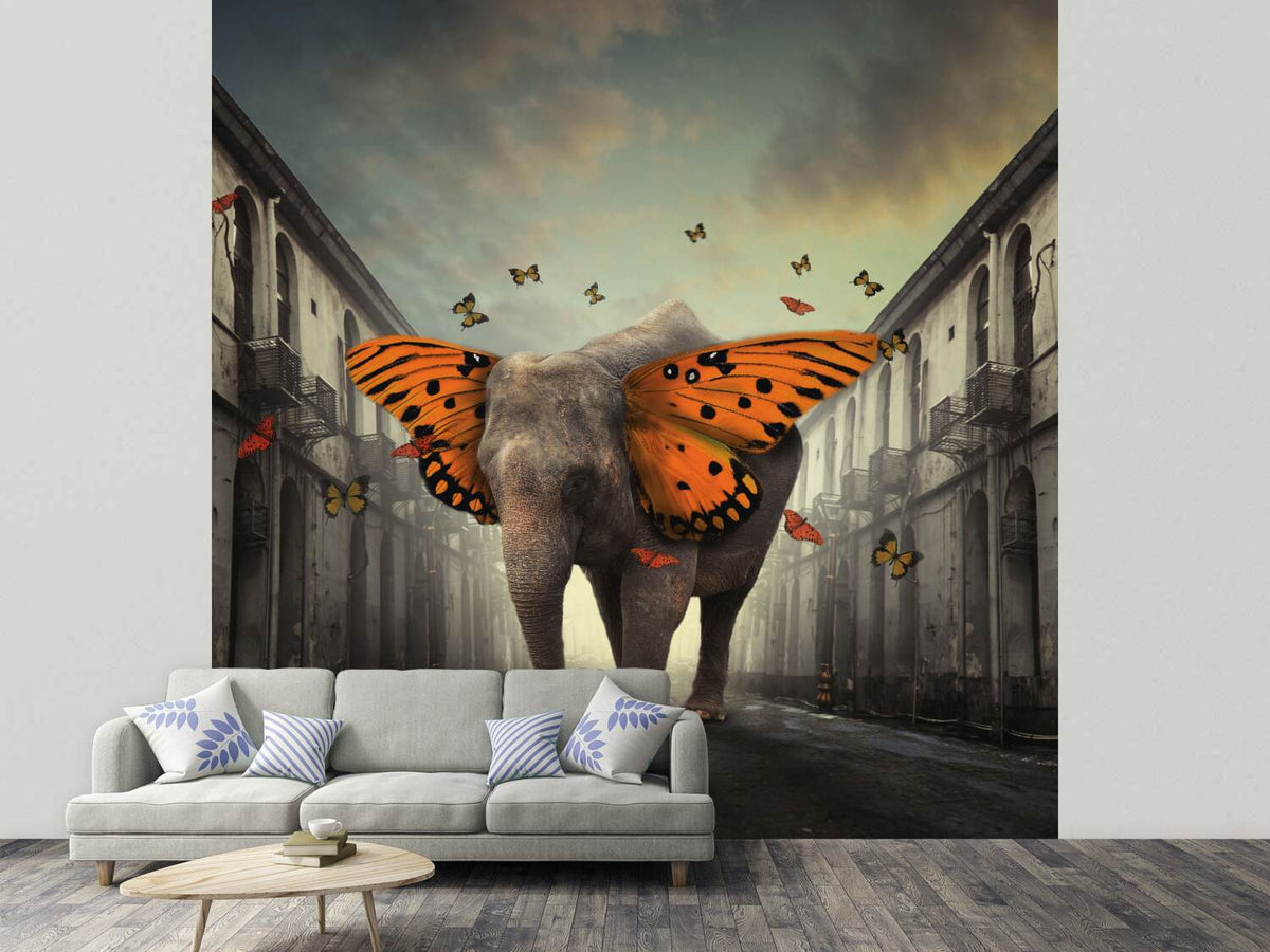 photo-wallpaper-butterphant