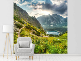 photo-wallpaper-mountain-views