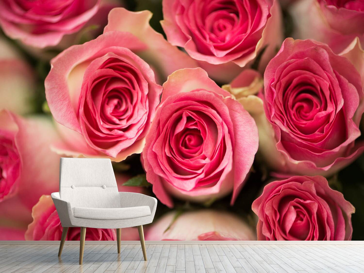 photo-wallpaper-rose-love