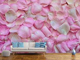 photo-wallpaper-rose-petals-in-pink-ii