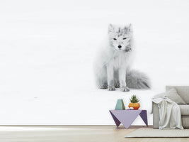 photo-wallpaper-arctic-fox-xjg