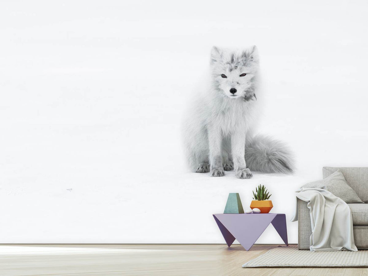 photo-wallpaper-arctic-fox-xjg