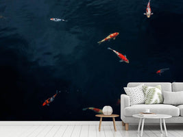 photo-wallpaper-fish-in-the-pond