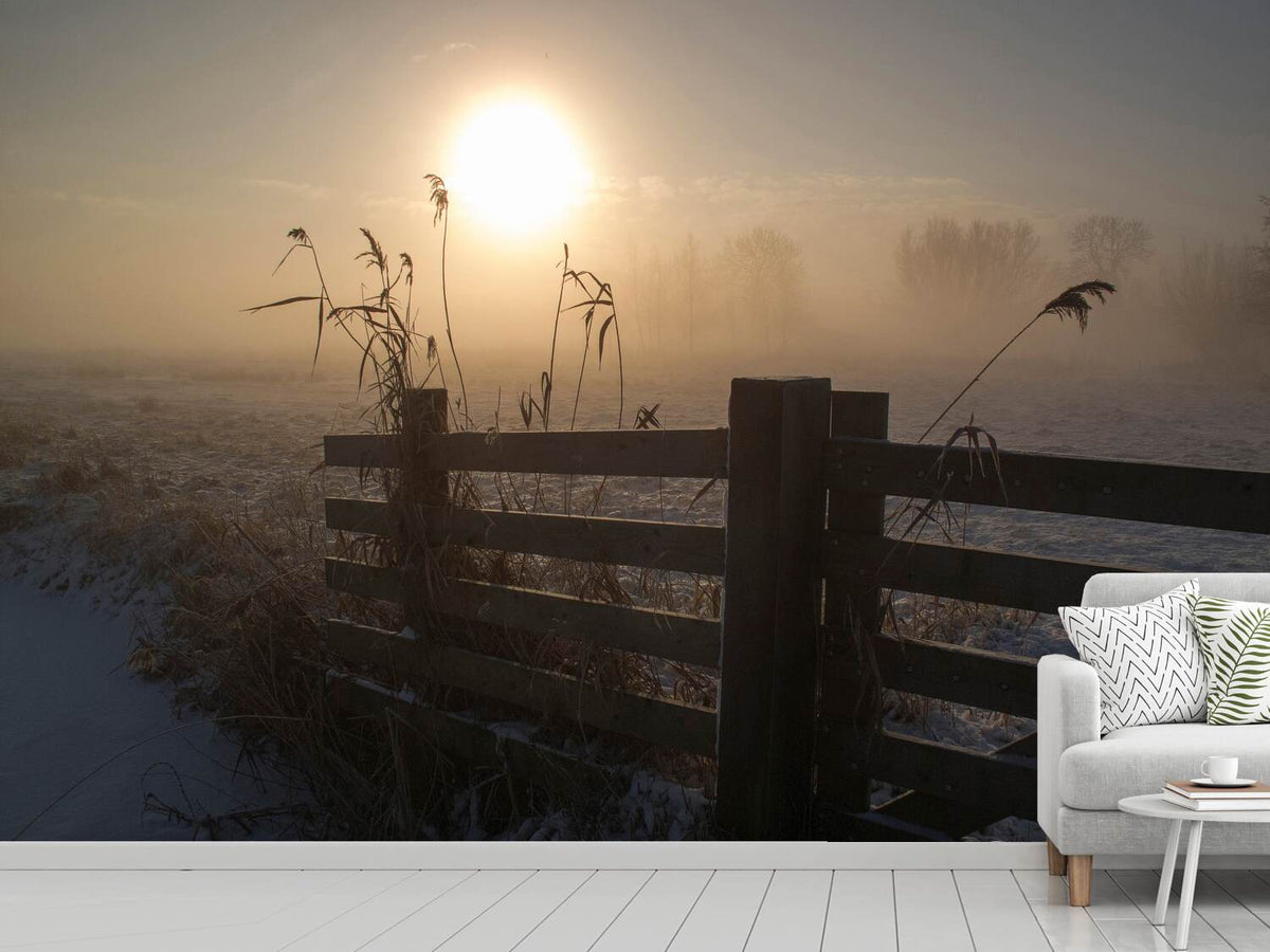 photo-wallpaper-winter-mood