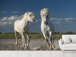 photo-wallpaper-white-horses-x