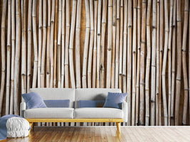 photo-wallpaper-dried-bamboos