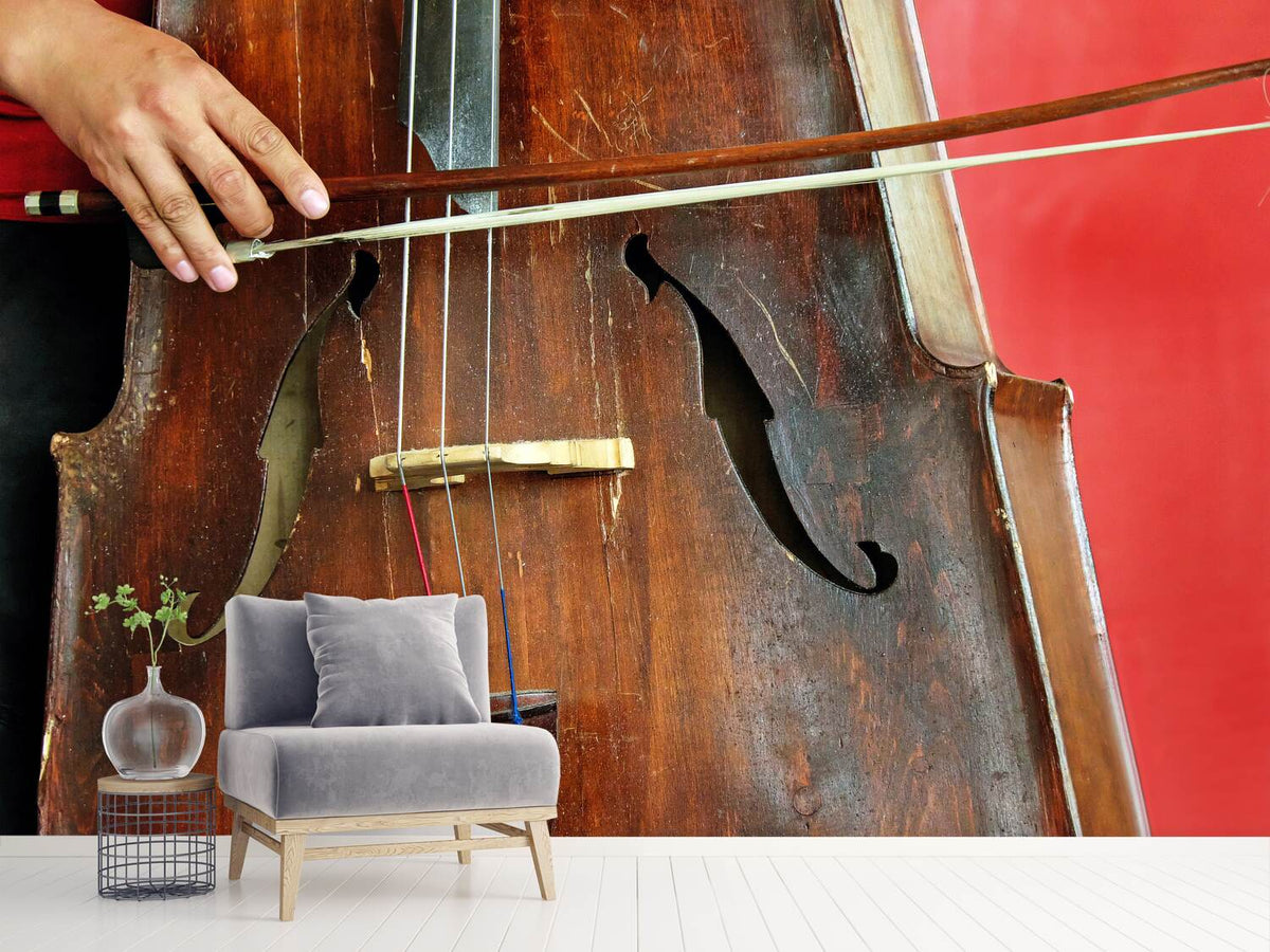 photo-wallpaper-the-cello