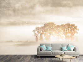 photo-wallpaper-autumn-dreams