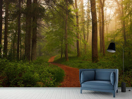 photo-wallpaper-the-red-path-x