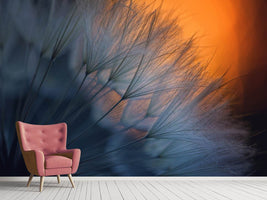 photo-wallpaper-feathers-p