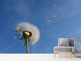 photo-wallpaper-dandelion-i-wish-for-something