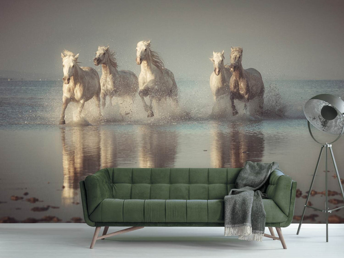 photo-wallpaper-camargue-horses-x