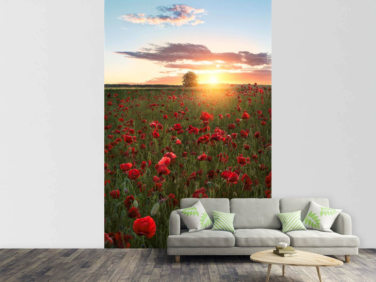 photo-wallpaper-poppy-fields-of-sweden