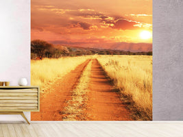 photo-wallpaper-dusk-in-kenya