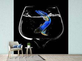 photo-wallpaper-betta-fish-dance