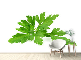 photo-wallpaper-leaves-of-parsley