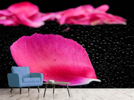 photo-wallpaper-the-petals