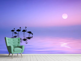 photo-wallpaper-morning-flamingo-x