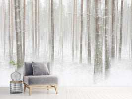 photo-wallpaper-winterforest-in-sweden-x