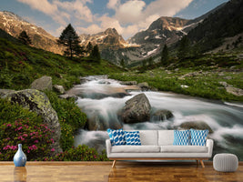 photo-wallpaper-maritime-alps-park-x