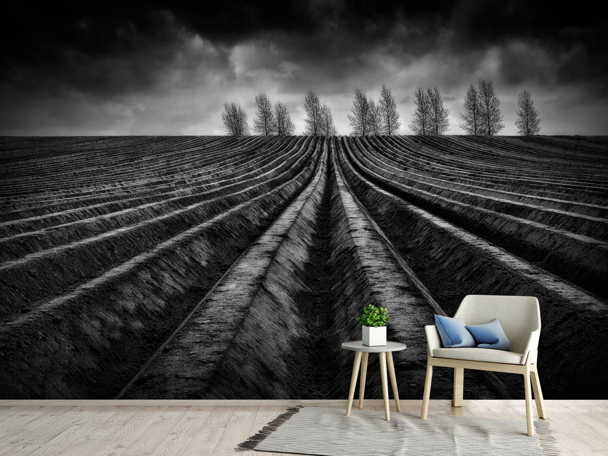 photo-wallpaper-flanders-fields-iii-x