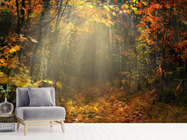 photo-wallpaper-we-love-autumn