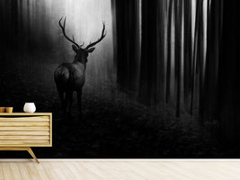 photo-wallpaper-stag