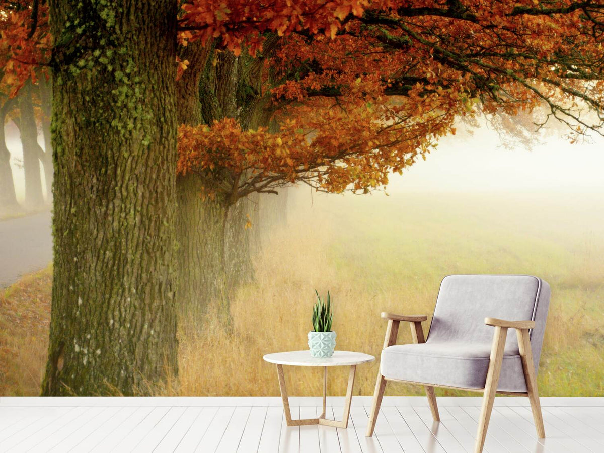 photo-wallpaper-autumn-fog-x