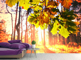 photo-wallpaper-autumn