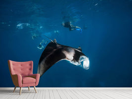 photo-wallpaper-manta-ray-ii