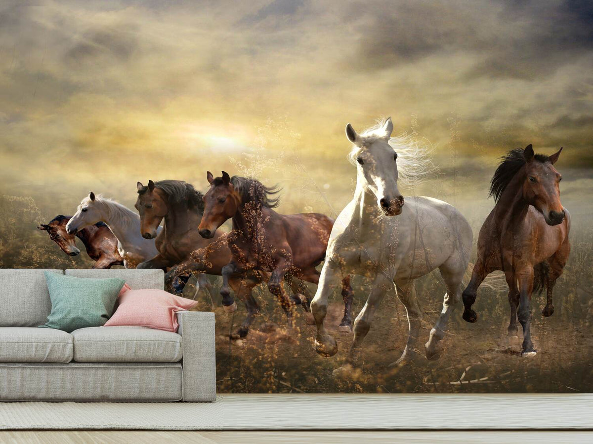 photo-wallpaper-wild-wild-horses