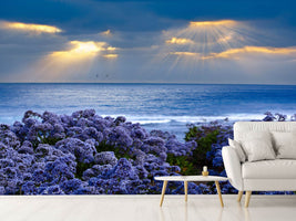 photo-wallpaper-lavender-and-sea